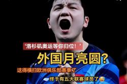 开云足球直播-中国队险胜德国队，樊振东扛起全队的简单介绍