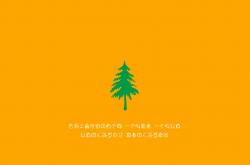 开云在线直播-篮网击溃火箭，东契奇稳定输出不掉线，当团队风暴遭遇个人史诗