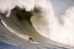 开云体育中国-葡萄牙轻取里昂，坎特点燃赛场，一场定义未来的胜利