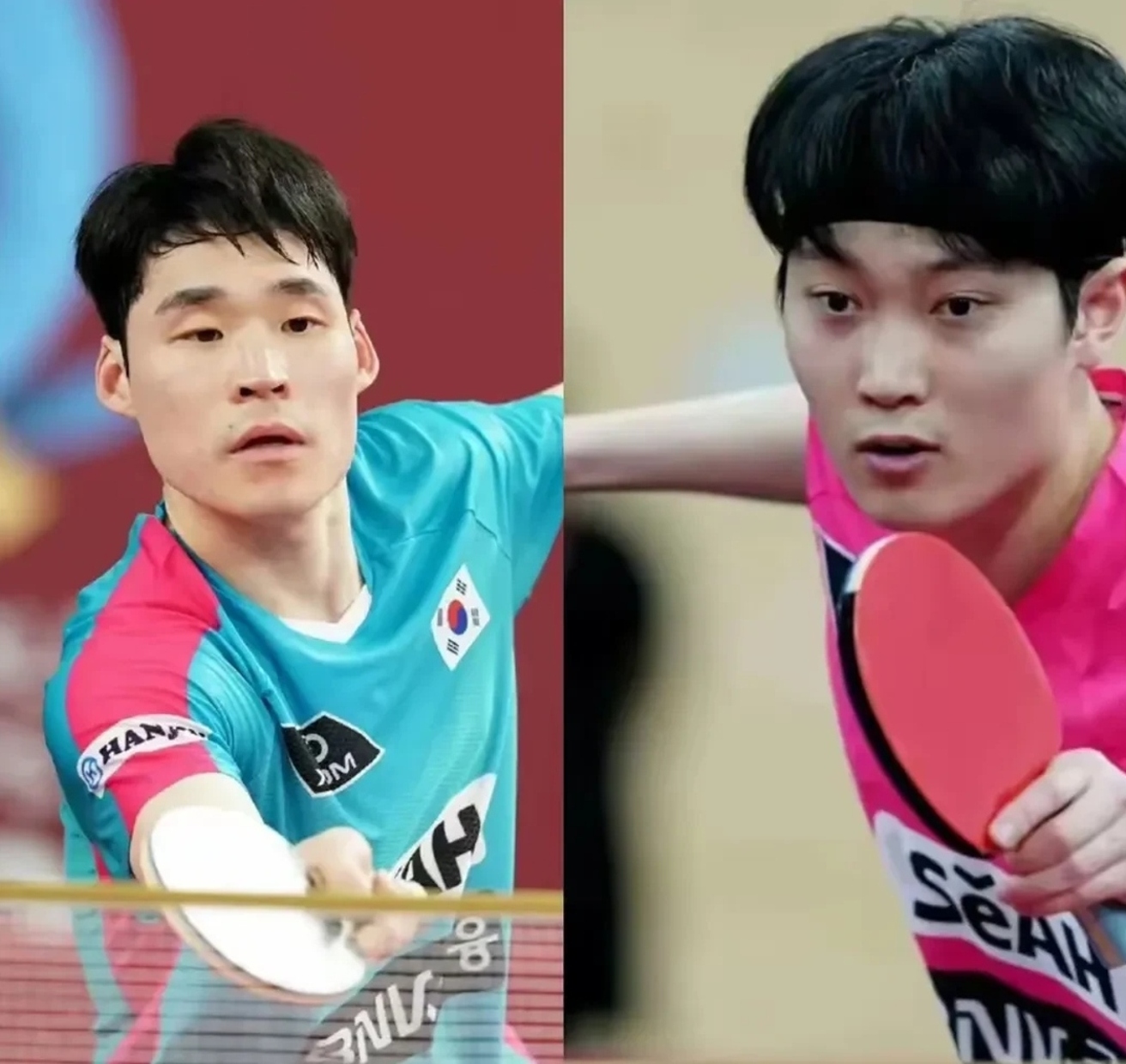 韩国乒乓球队碾压英国乒乓球队，水谷隼关键制胜的简单介绍