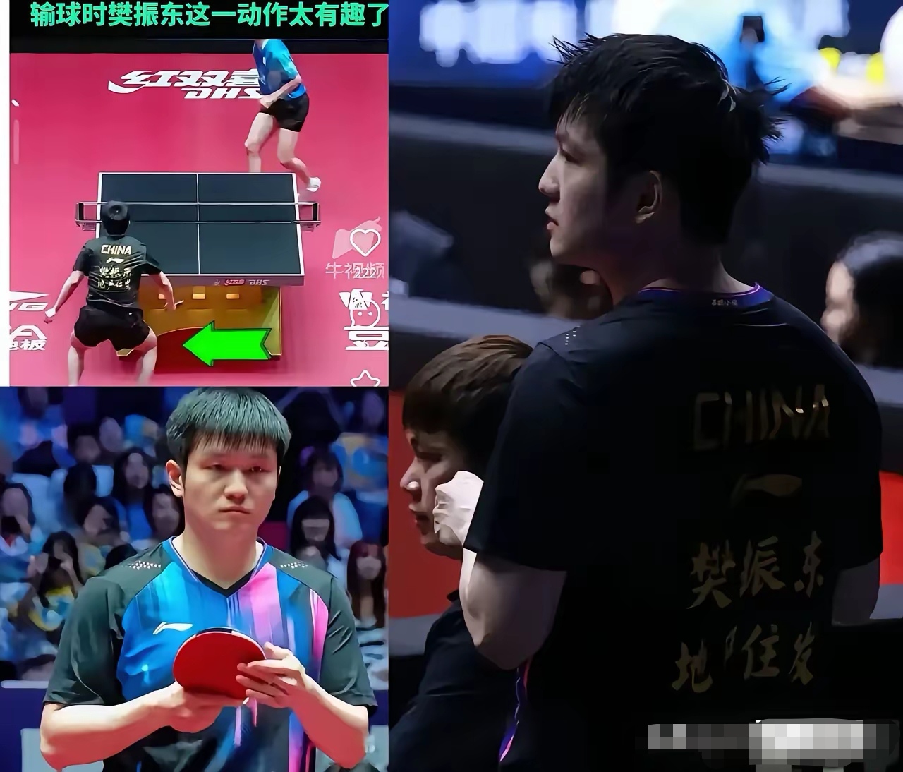 关于奥地利乒乓球队轻取瑞典乒乓球队,樊振东送出助攻的信息 关于奥地利乒乓球队轻取瑞典乒乓球队,樊振东送出助攻的信息