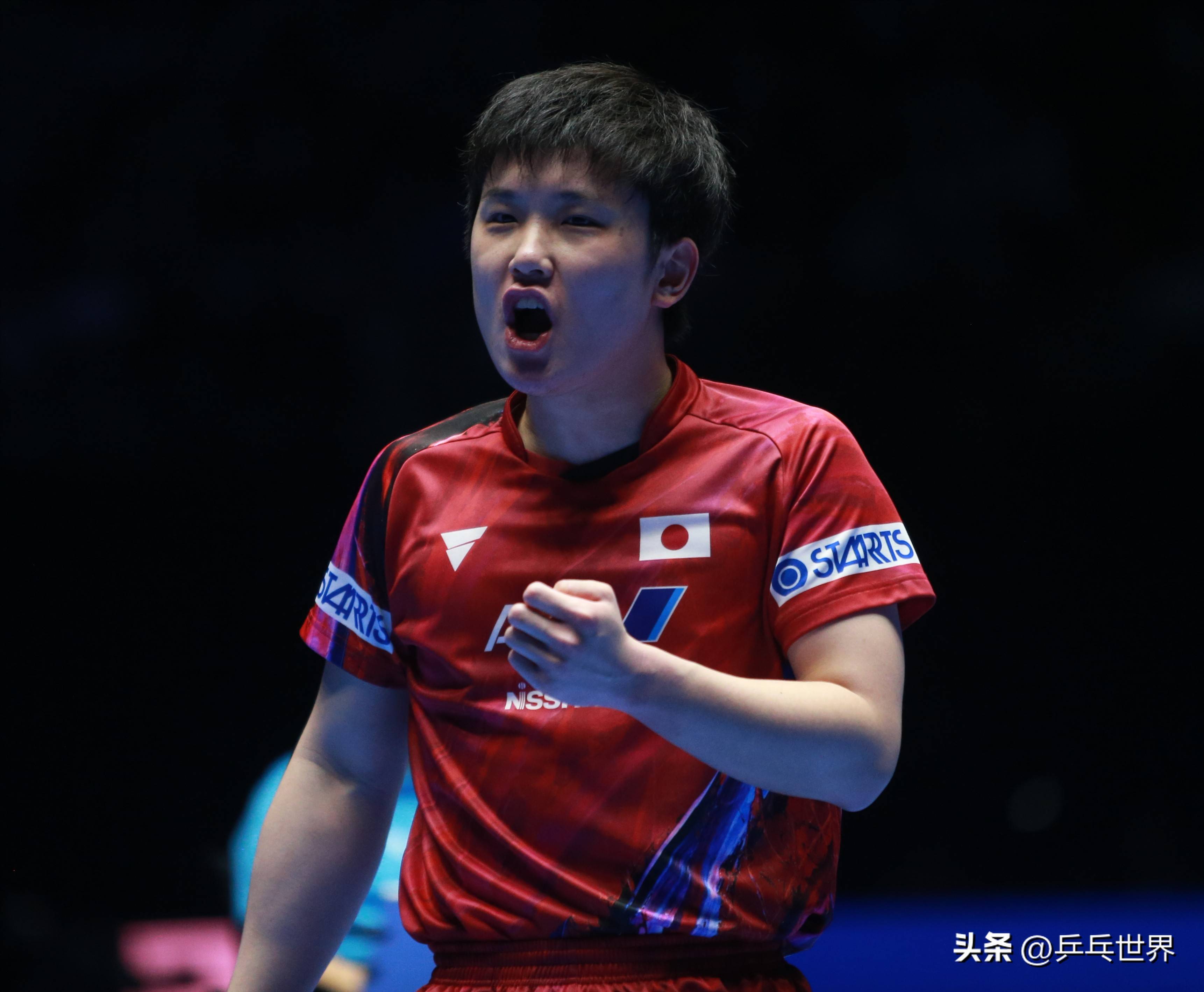 包含波兰队力克奥地利队，张本智和带队取胜的词条