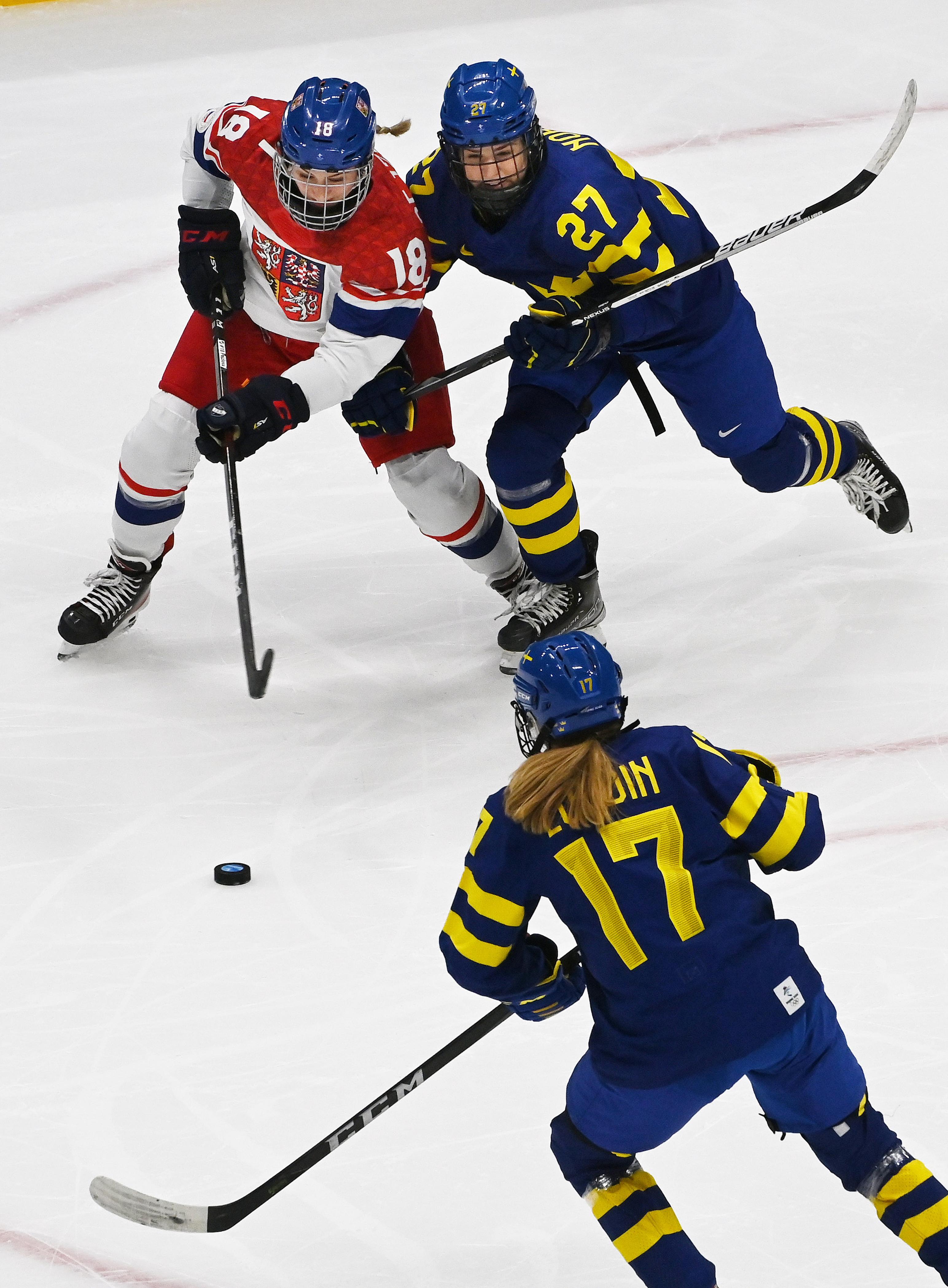 奥地利队在冰球比赛中击败对手