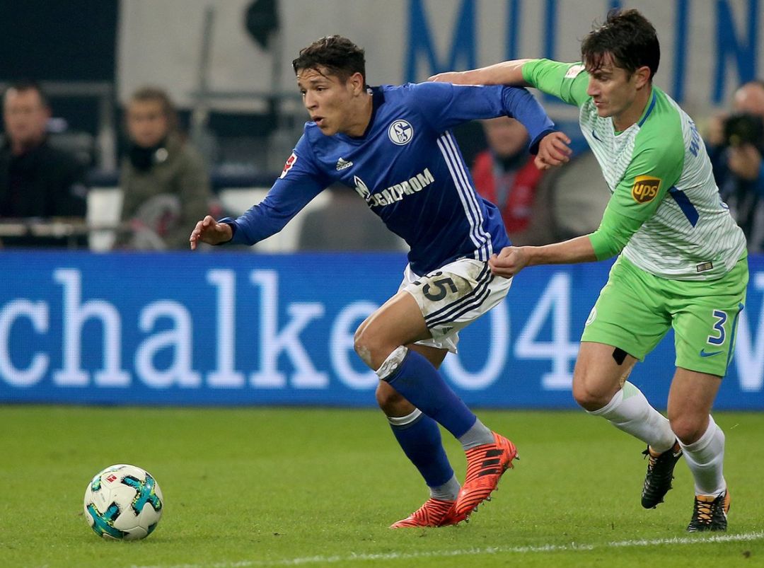 沃尔夫斯堡主场战平沙尔克，难分胜负的简单介绍