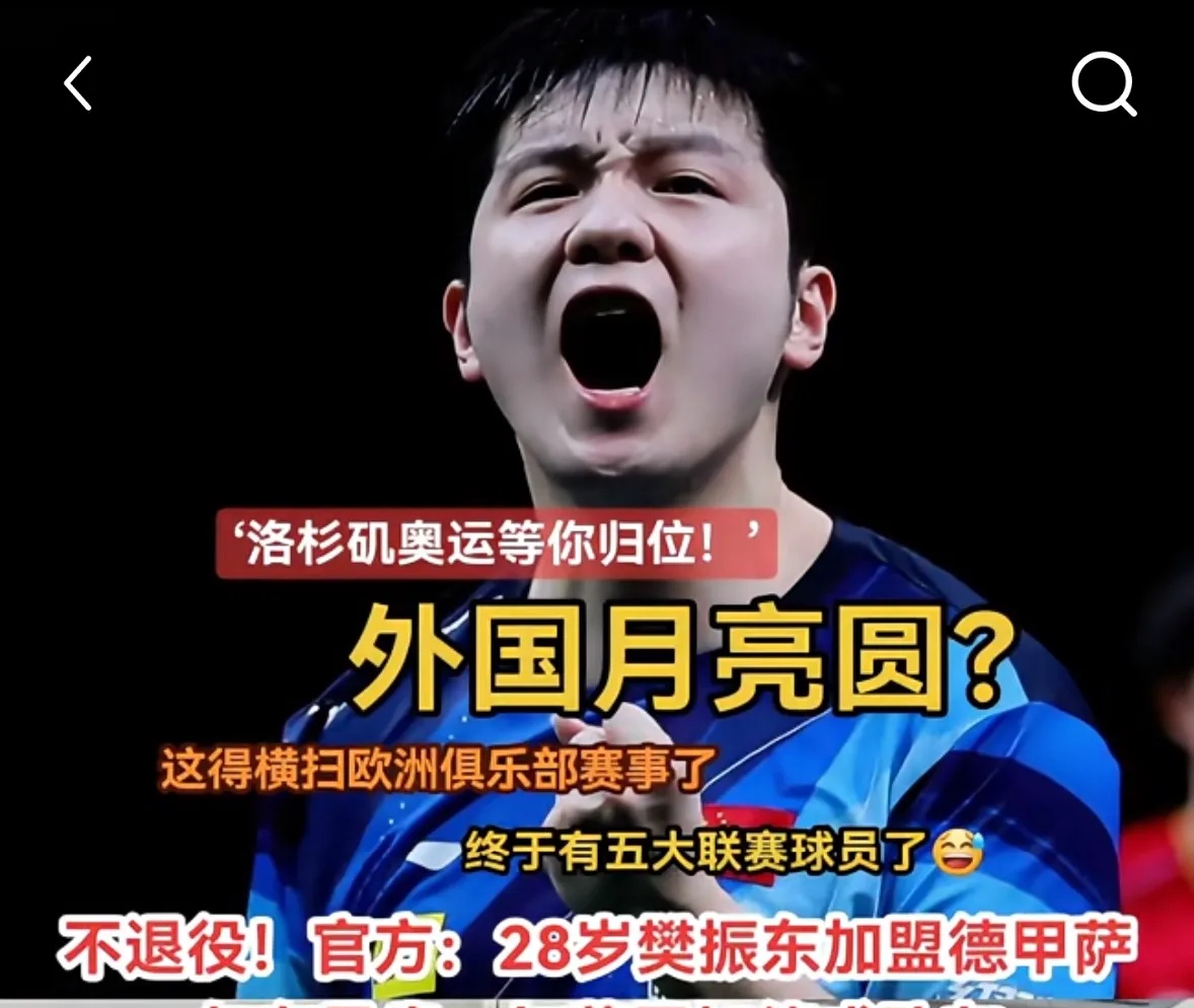 中国队险胜德国队，樊振东扛起全队的简单介绍