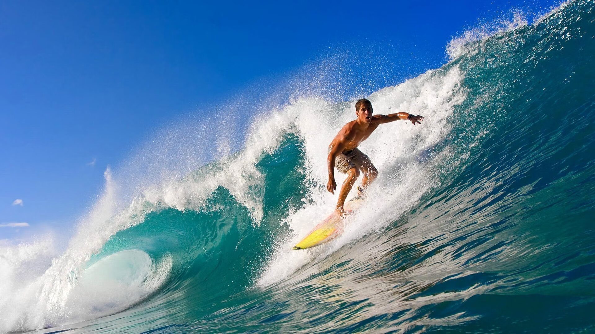 逆转的艺术,拉沃尔杯如何重塑法网传奇,德约科维奇惊艳四座的启示